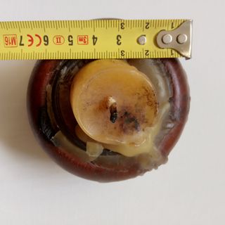 Candelabro de madera