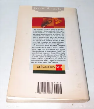 Los escarabajos vuelan al atardecer (Gran Angul...