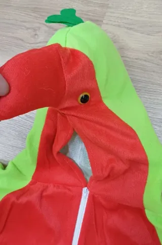 Disfraz niño Carnaval. Varios modelos.