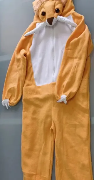 Disfraz niño Carnaval. Varios modelos.