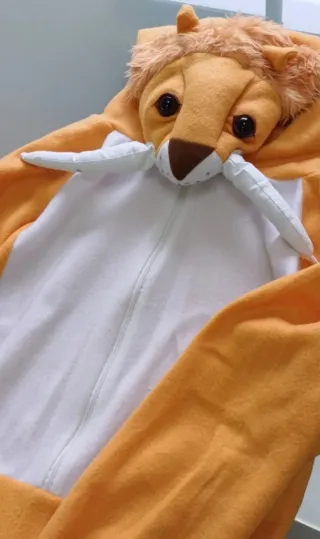 Disfraz niño Carnaval. Varios modelos.