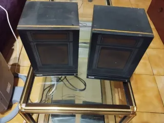 Altavoces Philips F1463 20 W