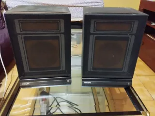 Altavoces Philips F1463 20 W