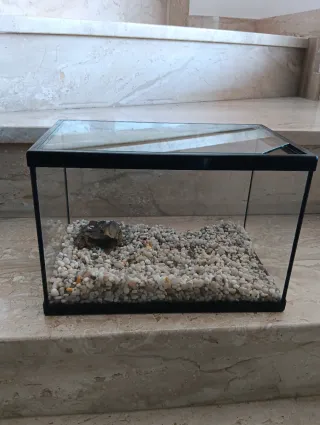 Acuario / terrario