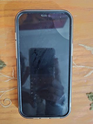 iPhone 12 Pro Max 256GB Azul