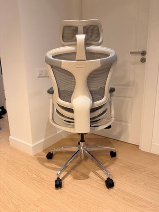 Silla de oficina ergonómica Sihoo Doro C300