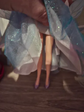 Barbie lagos de los cisne