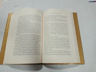 LIBRO AMBICIONES Y REFLEXIONES