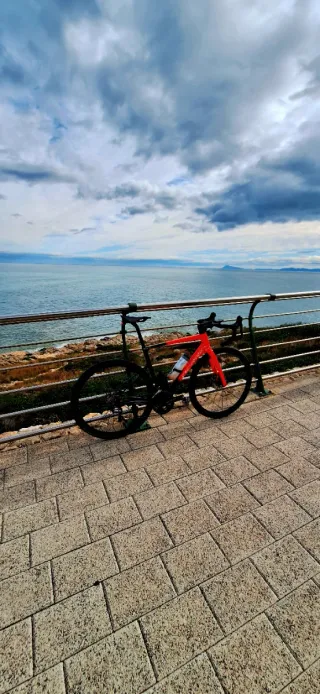 Bicicleta Berria Belador