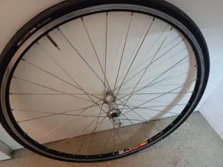 Rueda delantera bicicleta carretera Campagnolo