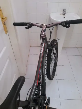 Bicicleta de Montaña