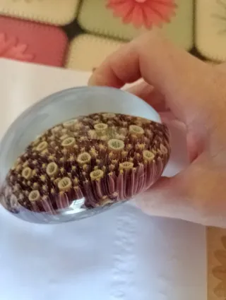 Sfere di vetro di Murano con Murrine . Forma roton