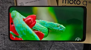 Motorola G55 5G 256GB Verde