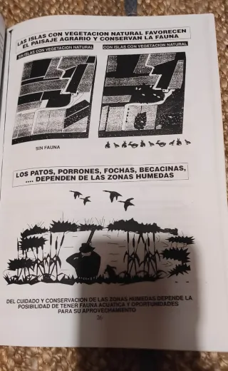 Temarios (año 2000 aproximadamente,).de Guarda de