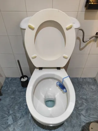 Inodoro ROCA completo (taza + cisterna + tapa)