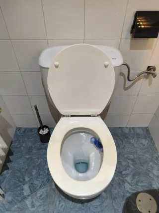 Inodoro ROCA completo (taza + cisterna + tapa)