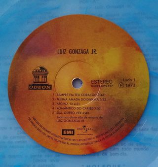 Luiz Gonzaga Jr. - Luiz Gonzaga Jr.