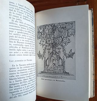 FELIPE TORROBA. LOS JUDÍOS ESPAÑOLES. HISTORIA.