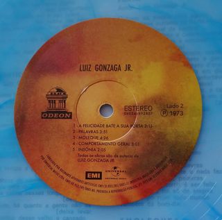 Luiz Gonzaga Jr. - Luiz Gonzaga Jr. Vinil