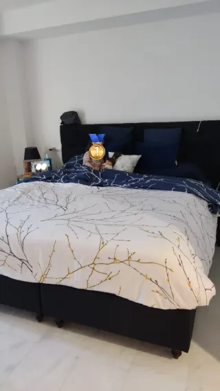 Cama Doble + Colchón + Respaldo 180x200