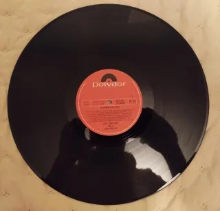 Vinilo Carnavalito - Los Amigos del Amambay