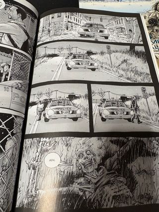 Los muertos vivientes. The walking dead.