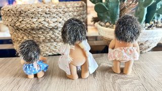 Familia de erizos Forest families