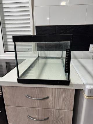 Terrario/pecera negro y transparente