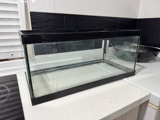 Terrario/pecera negro y transparente