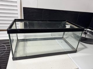 Terrario/pecera negro y transparente