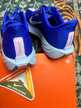 Nike Pegasus Plus Scarpe da Corsa Blu