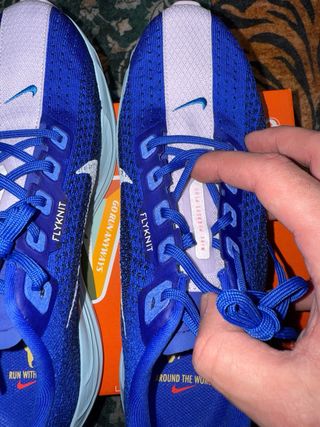 Nike Pegasus Plus Scarpe da Corsa Blu