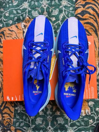 Nike Pegasus Plus Scarpe da Corsa Blu