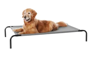 Cama Perro Elevada Grande