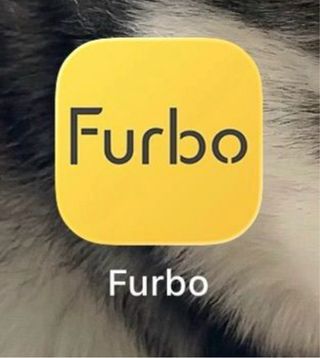 Furbo Cámara para Perros