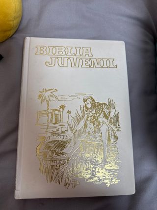 Biblia juvenil