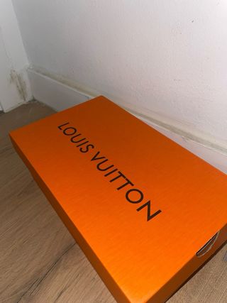 Zapatillas Louis Vuitton Urbanas