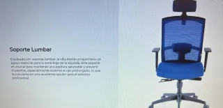 Silla de oficina profesional ergonómica