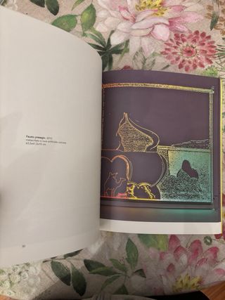 Libro mostra Gino Marotta l'incanto della savana