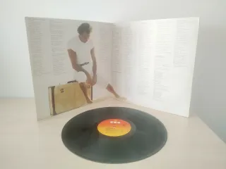 Vinilo Julio Iglesias Libra