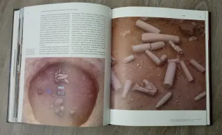 Libro "Las grandes piedras de la Prehistoria".