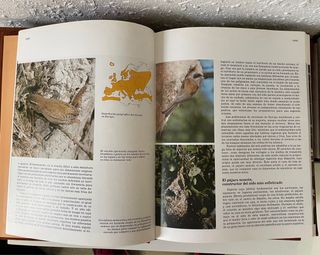 Fauna Ibérica: El Hombre y la Tierra.