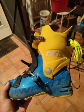 Botas de esquí Dynafit TLT6