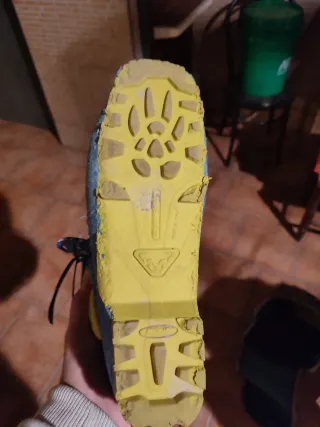 Botas de esquí Dynafit TLT6