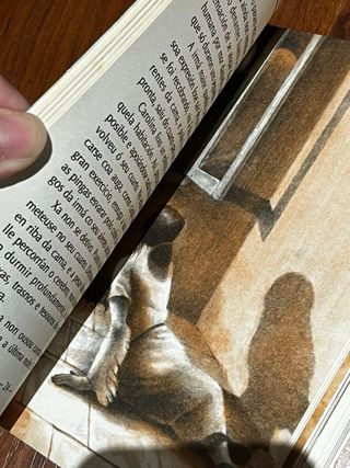 Libro: “Lucía”.