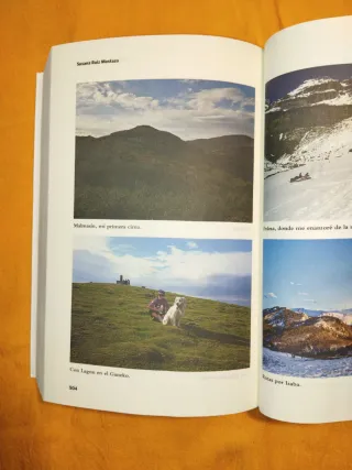 LOS SUEÑOS NO TIENEN CIMA