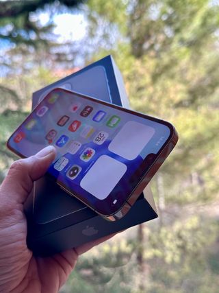 iPhone 13 Pro Max 256Gb IGUAL A NUEVO