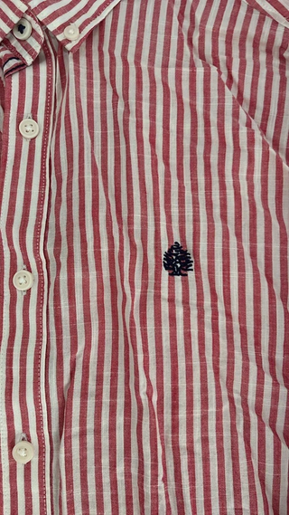Camisa Springfield Rayas Rojas y Blancas