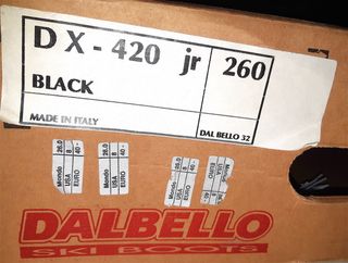Botas Esquí Dalbello DX 420 Italia