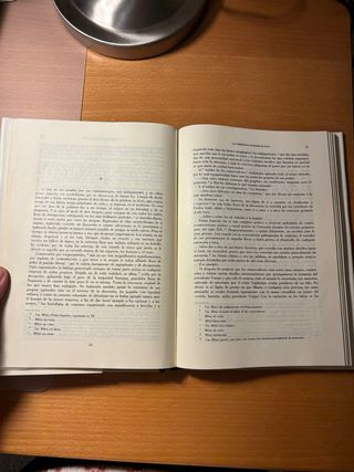 Las memorias de Mamá Blanca, Teresa de la Parra